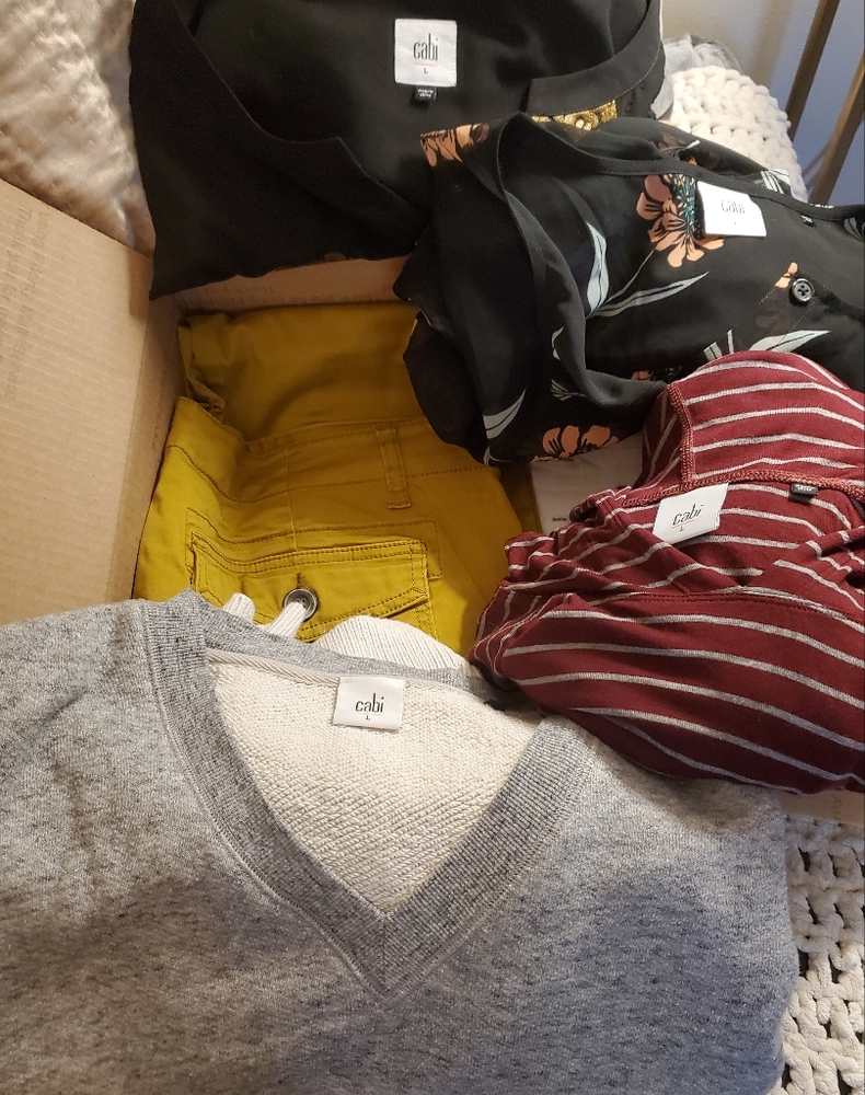 Cabi lovers bundle size L/ size 10/size 12/TOTAL PEICES =6 PRICE FIRM!